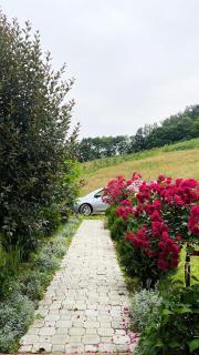 Proplanak - Ivanjica - 9