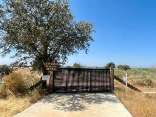 Casa Rural MaciasDehesa - Mérida - 8
