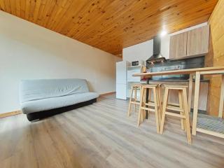 Le Chitelet, vue montagne appt 215 - La Bresse - 5