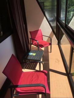 Le Chitelet, vue montagne appt 215 - La Bresse - 1