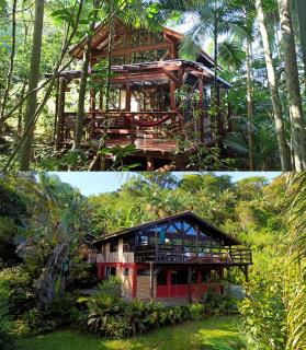 Casa Juçara & Casa Tucano - Floripa - Exclusive Forest Escape - Florianópolis - 0