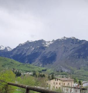 Primavera azzurra - Cavedago - 8
