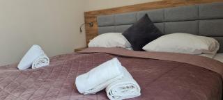 Aparthotel Apartamenty Czarna Góra 305 - 4