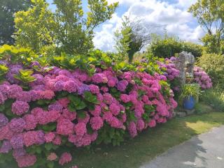 gite proche de la ria d'ETEL - Plouhinec - 4