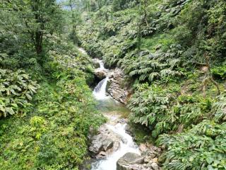 Local Homestay - Sapa - 6