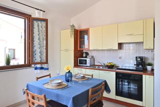 IzzHome Hibiscus - 8