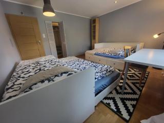Large room with wardrobe space - Warsaw - 8