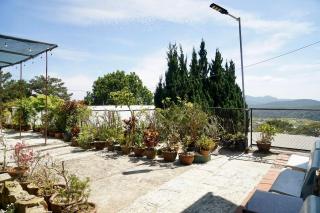 Moonlight Homestay - Da Lat - 6