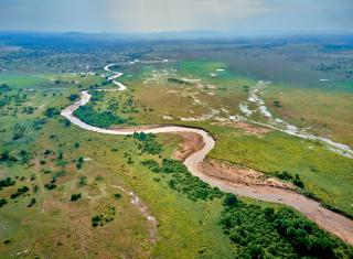 Pamoja Serengeti Luxury Camp - Serengeti - 0