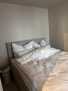 Central apartment in Solli - 5