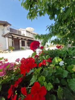 La Dolce Vita - Castelfidardo - 5