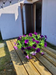 Lāči Staldzenē - Ventspils - 1
