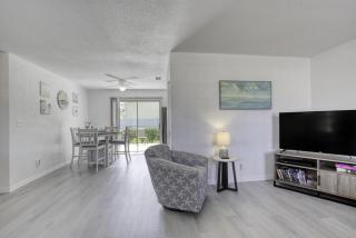 Coquina Cabana with fenced yard and adorable decor - South Daytona - 7
