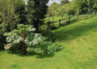 Yarde cottage rural Devon Dog friendly - 3