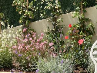 Rare, private garden, 2bdr, Monaco border - Beausoleil - 5