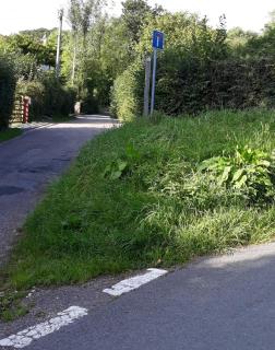 Yarde cottage rural Devon Dog friendly - Membury - 1