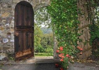 Yarde cottage rural Devon Dog friendly - Membury - 4
