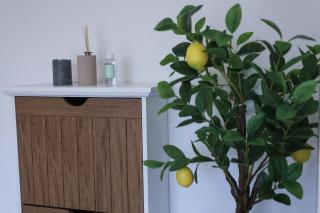 Apartmani Bahus - - 9