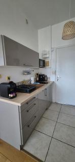 Studio 181 Albion Residence Beautiful view and pool! - Aix-les-Bains - 4