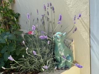 Rare, private garden, 2bdr, Monaco border - Beausoleil - 7