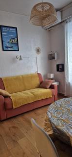 Studio 181 Albion Residence Beautiful view and pool! - Aix-les-Bains - 9