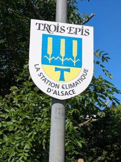 Les 3 Zepp - 8