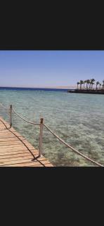 Oscar - Hurghada - 3