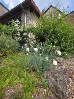 Chez Kahina ancien hôtel Robert - 3