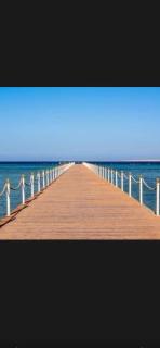 Oscar - Hurghada - 9