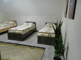 Arashan Guest house - Teploklyuchenka - 4