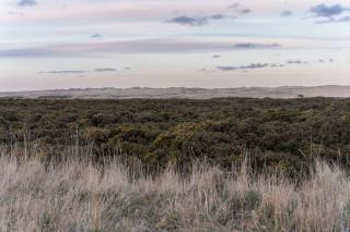 Farm stay at Ewe View, Aberdeenshire - - 2