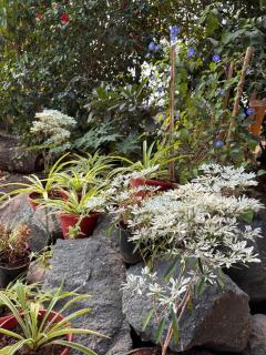 Weekend Escape Near Mumbai - Bhiwandi - 9