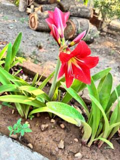Weekend Escape Near Mumbai - Bhiwandi - 5