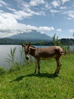 cyuza paradise island - Nyarugina - 5