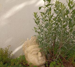Cozy independent studio - Roussillon en Isere - 9