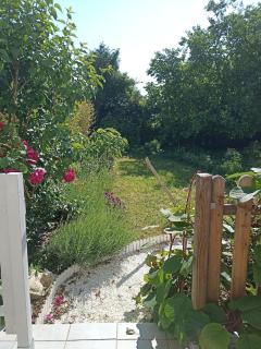 Cozy independent studio - Roussillon en Isere - 3