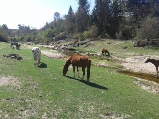 Casa en las sierras de córdoba - Cavalango - 5