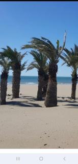 narbonne plage camping Marvilla - 4