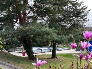 Les Acacias - La Milesse - 8