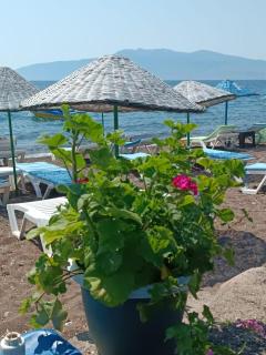 H A Pansiyon - Ayvacık - 2