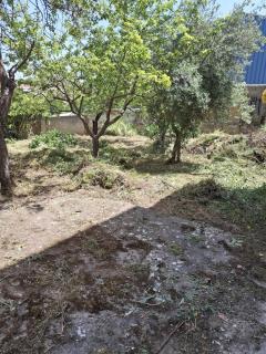 Bonita y tranquila casa rural cerca de Noheda - 5