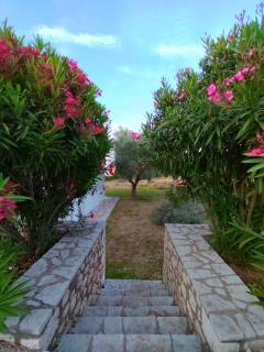 Polikarpos Villas - Tsoukalades - 1