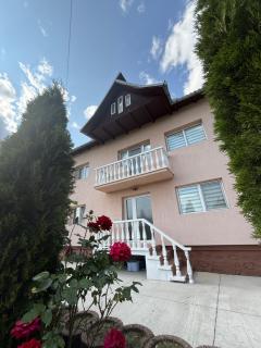 Vila Teo - Bărăşti - 9