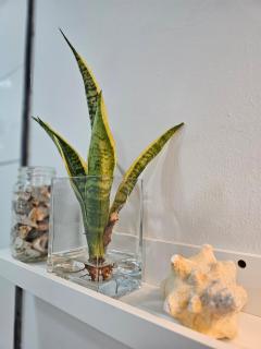 Beach & Bay Studio - 5