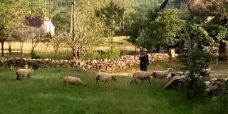 Marmite et traversin - 5