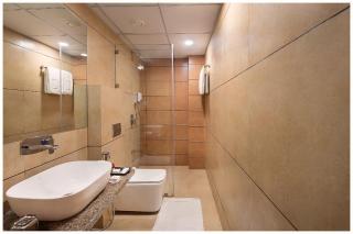 HOTEL TROPICAL PALACE GUEST HOUSE Near Temple - Ujjain - 3