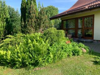 Artystyczna sielanka - - 9