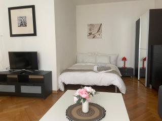 Appartement clame 6 minutes de la gare de Lausanne - Losanna - 2