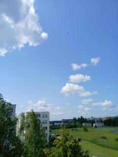 Sonata apartment - Panevėžys - 3