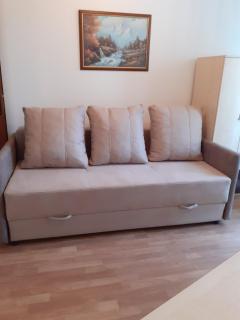 Vila Rose - Soko Banja - 4